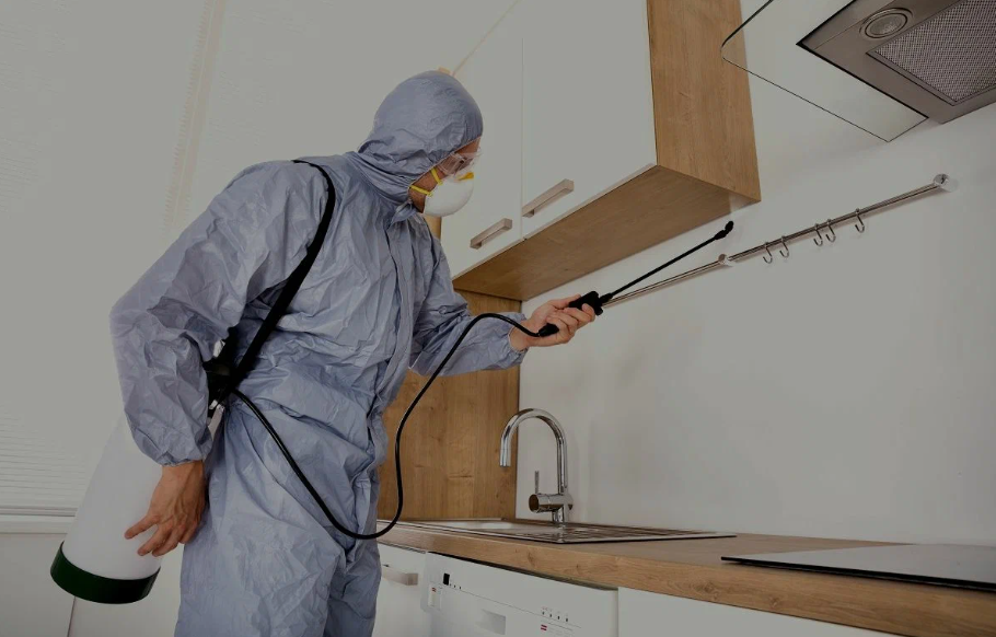 Lakewood pest managment